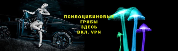 трава Арсеньев