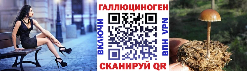 Галлюциногенные грибы Cubensis  кракен вход  Отрадная 